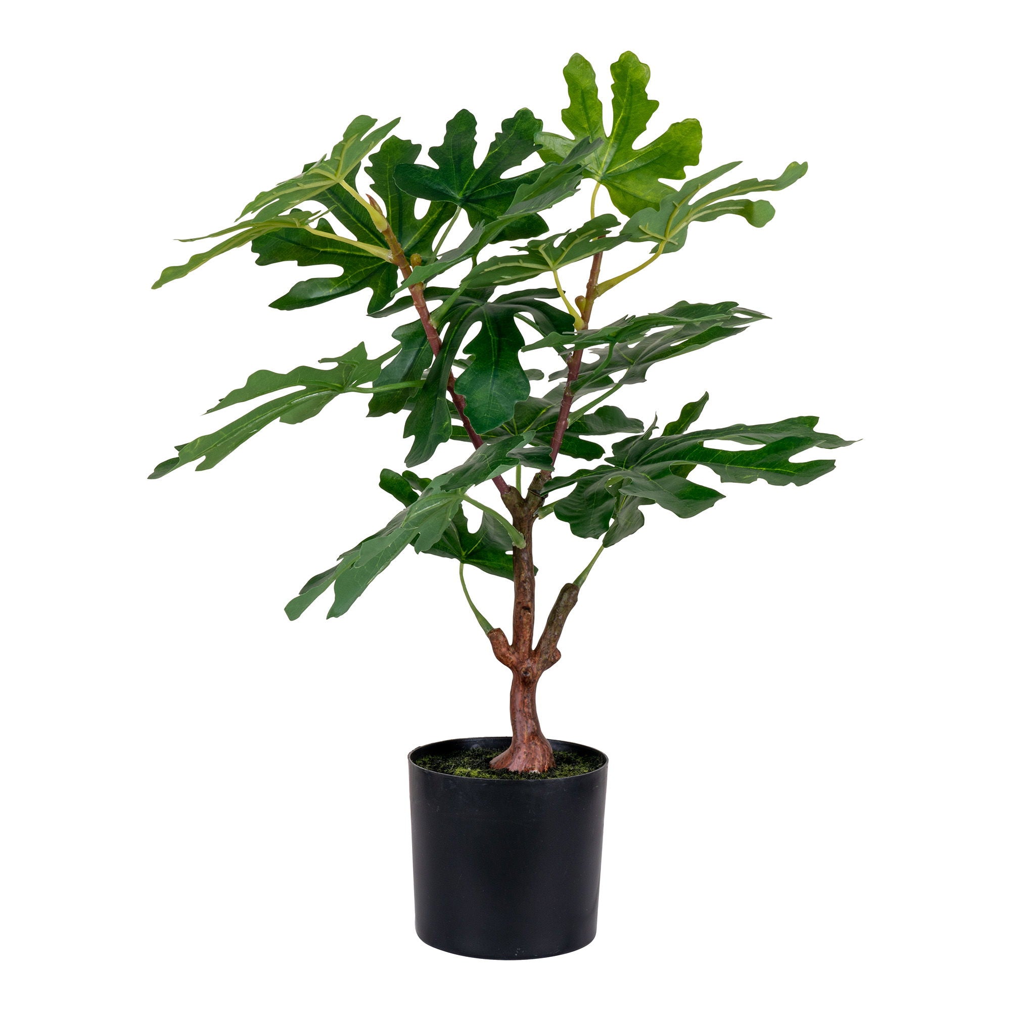 Feigenbaum – Kunstpflanze, grün, 60 cm